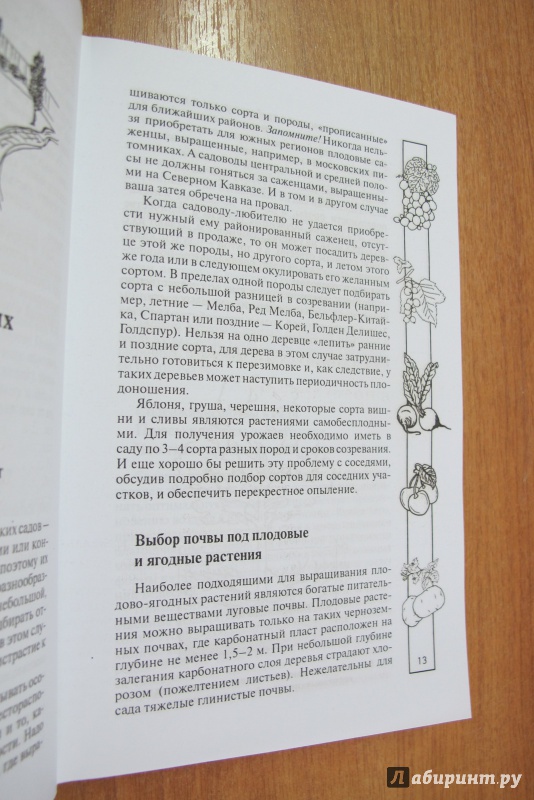 Иллюстрация 9 из 9 для Сад и огород для самых умных - Валентина Бурова | Лабиринт - книги. Источник: Hitopadesa
