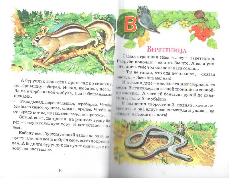 Иллюстрация 5 из 11 для Азбука леса - Николай Сладков | Лабиринт - книги. Источник: Стрекоза