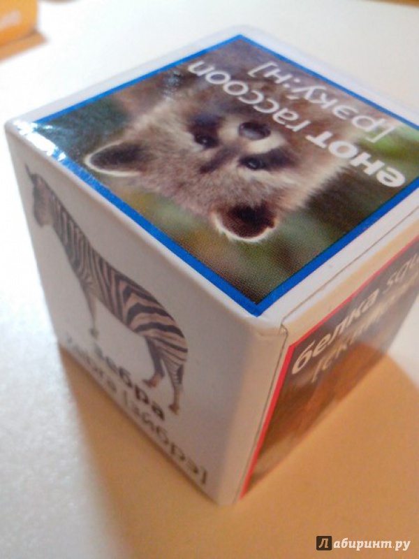 Иллюстрация 5 из 8 для Животный мир: пять книжек-картонок и пять вкладывающихся друг в друга картонных кубиков | Лабиринт - книги. Источник: Коваленко  Кристина