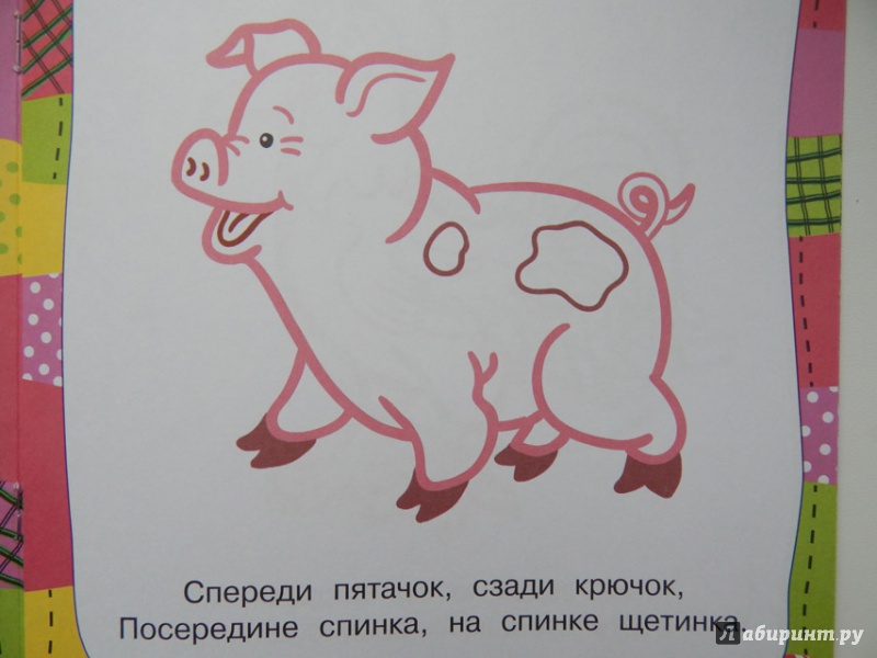 Иллюстрация 19 из 30 для Домашние животные | Лабиринт - книги. Источник: Мелкова  Оксана