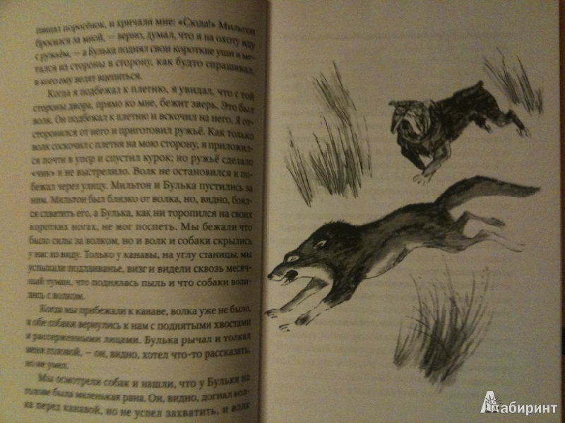 Иллюстрация 3 из 13 для Булька - Лев Толстой | Лабиринт - книги. Источник: tatyanaK