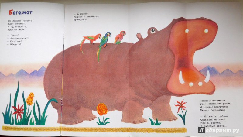Иллюстрация 78 из 180 для Что снится моржу - Борис Заходер | Лабиринт - книги. Источник: Годовёнок