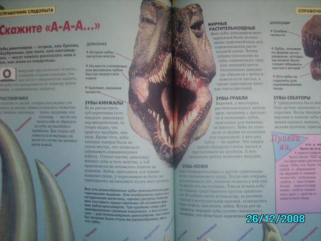 Иллюстрация 5 из 9 для Динозавры | Лабиринт - книги. Источник: Звездочка
