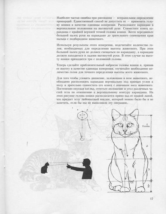 Иллюстрация 13 из 39 для Учитесь рисовать кошек - Дэвид Браун | Лабиринт - книги. Источник: * Ольга *
