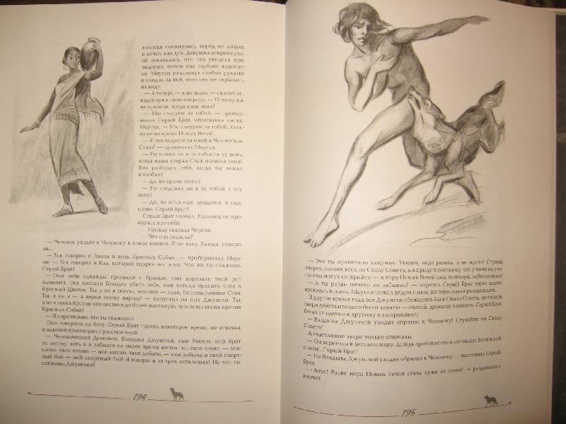 Иллюстрация 17 из 30 для Маугли - Редьярд Киплинг | Лабиринт - книги. Источник: W