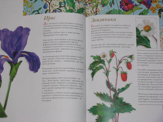 Иллюстрация 29 из 36 для Цветы из разных материалов - Ляукина, Карелина, Галанова | Лабиринт - книги. Источник: Nemertona