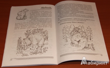 Иллюстрация 11 из 14 для Какие звери в лесу? Книга для воспитателей, гувернеров и родителей - Татьяна Шорыгина | Лабиринт - книги. Источник: loko-moko