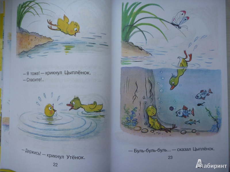 Иллюстрация 34 из 149 для Все сказки и картинки - Владимир Сутеев | Лабиринт - книги. Источник: enikebenike