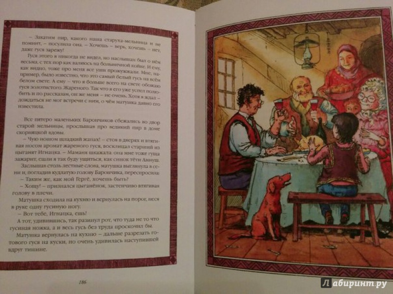 Иллюстрация 29 из 32 для Волшебная шубейка - Ференц Мора | Лабиринт - книги. Источник: Варламова  Екатерина