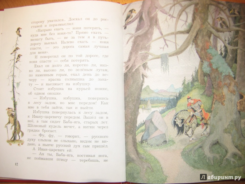 Иллюстрация 15 из 24 для Сказка о молодильных яблоках и живой воде | Лабиринт - книги. Источник: RoMamka