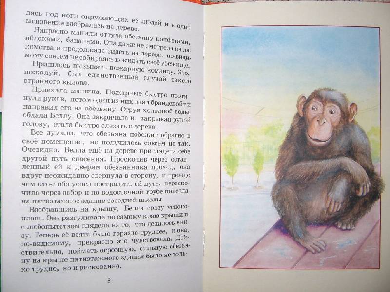Иллюстрация 4 из 12 для Питомцы зоопарка - Вера Чаплина | Лабиринт - книги. Источник: Читательница