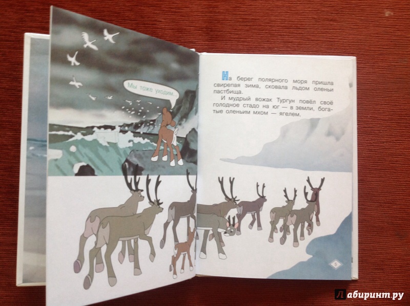 Иллюстрация 24 из 27 для Храбрый оленёнок - Жанна Витензон | Лабиринт - книги. Источник: Потапова  Olga