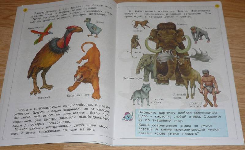 Иллюстрация 4 из 14 для Окружающий мир. Учебник для 1 класса. В 2 частях - Дмитриева, Казаков | Лабиринт - книги. Источник: Pam