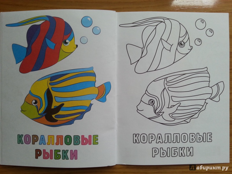 Иллюстрация 4 из 8 для Раскраска для малышей Морские животные | Лабиринт - книги. Источник: Иванова  Наталья
