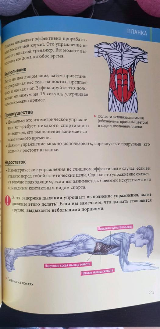 Иллюстрация 83 из 85 для Анатомия силовых тренировок для женщин - Делавье, Гандил | Лабиринт - книги. Источник: Ильина Елена