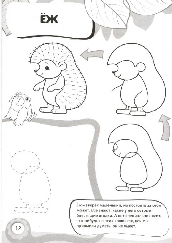 Иллюстрация 5 из 10 для Рисуем и раскрашиваем лесные животные | Лабиринт - книги. Источник: Ма  Мариша