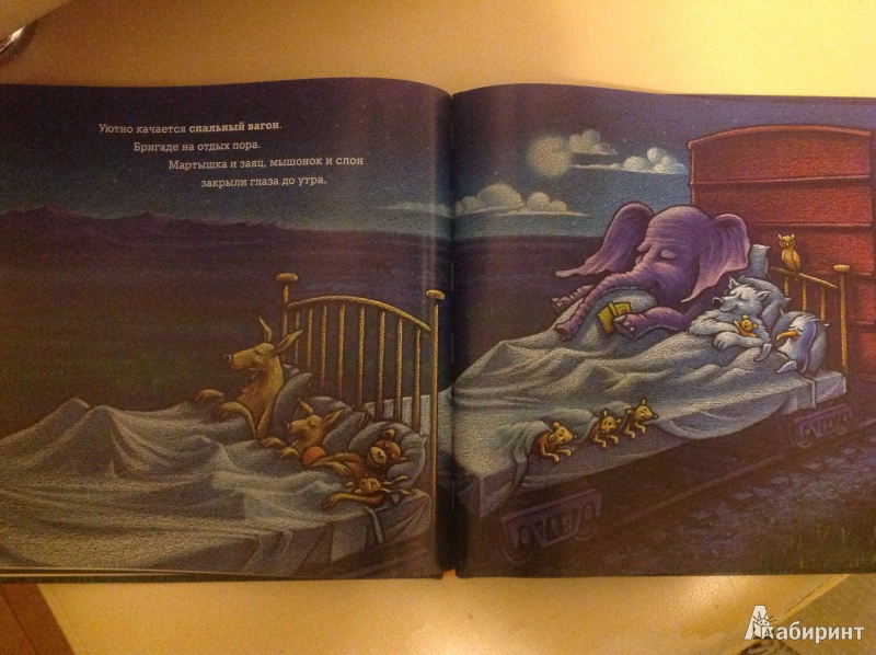 Иллюстрация 35 из 95 для Чудный поезд мчится в сон - Ринкер Даски | Лабиринт - книги. Источник: Natik-15