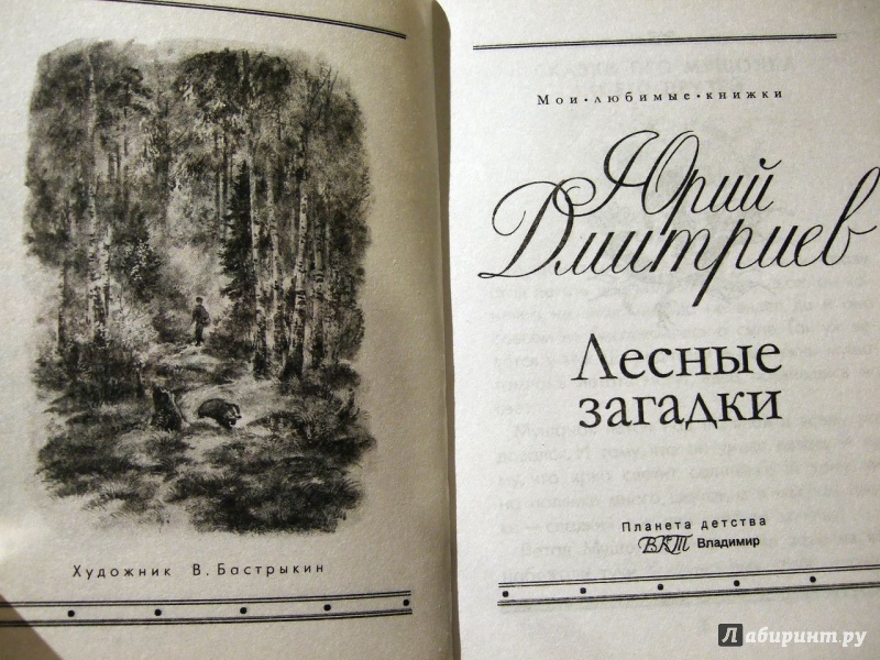 Иллюстрация 14 из 17 для Лесные загадки - Юрий Дмитриев | Лабиринт - книги. Источник: Selena-Луна