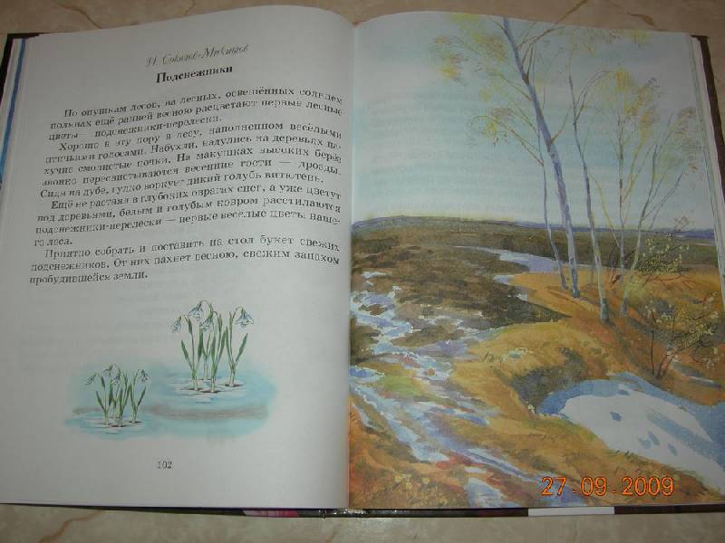 Иллюстрация 24 из 38 для Большая книга о природе | Лабиринт - книги. Источник: Соловей