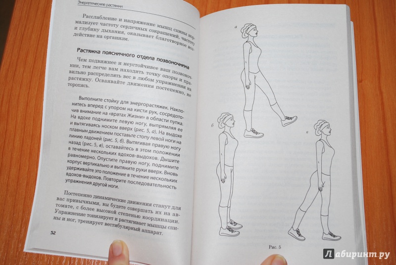 Иллюстрация 29 из 30 для Энергетические растяжки: осознанные движения для гибкости, красоты и долголетия - Шенг Ки | Лабиринт - книги. Источник: Нади