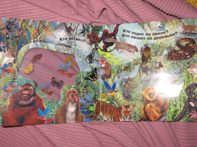 Иллюстрация 4 из 5 для Кто живет в джунглях. Волшебное окошко-макси | Лабиринт - книги. Источник: Nattali