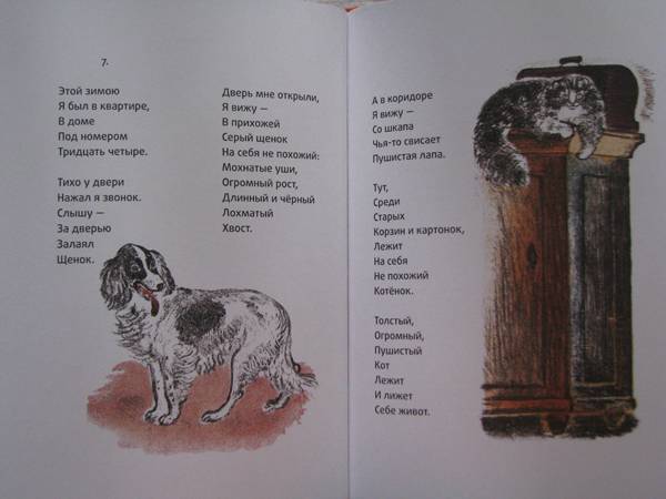 Иллюстрация 5 из 16 для Щенок и котенок - Александр Введенский | Лабиринт - книги. Источник: jiv