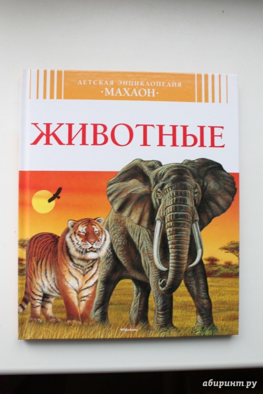 Иллюстрация 19 из 50 для Животные - Букобза, Мулинье | Лабиринт - книги. Источник: Макарова  Анастасия