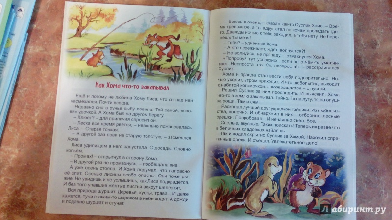 Иллюстрация 7 из 24 для Как Хома Золотую рыбку поймал - Альберт Иванов | Лабиринт - книги. Источник: Косова  Мария