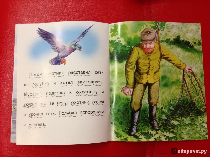 Иллюстрация 23 из 24 для Лев и мышь - Лев Толстой | Лабиринт - книги. Источник: М.  Наташа