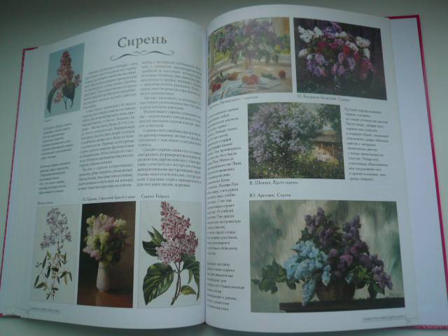 Иллюстрация 11 из 12 для Самые красивые цветы мира - А. Пантилеева | Лабиринт - книги. Источник: Nadezhda_S