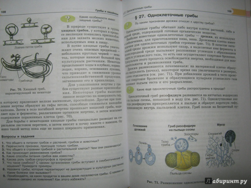 Иллюстрация 12 из 19 для Биология. 6 класс. Растения, бактерии, грибы, лишайники. ФГОС - Роза Хрыпова | Лабиринт - книги. Источник: Евгения39
