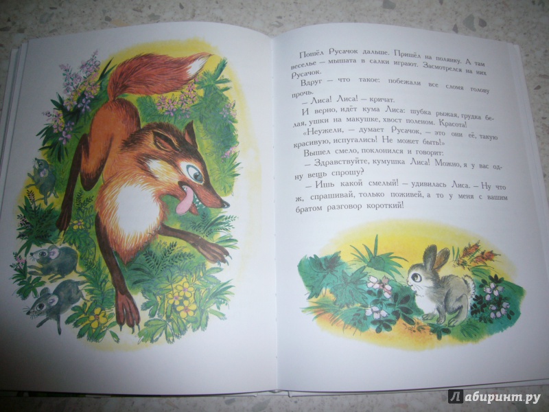 Иллюстрация 28 из 48 для Сказки про животных - Паустовский, Бианки, Заходер | Лабиринт - книги. Источник: Юлия АС