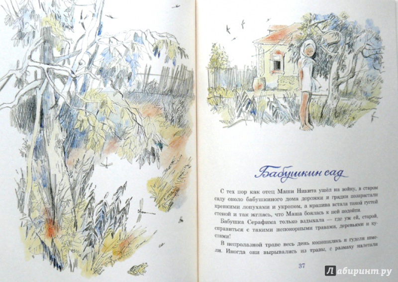 Иллюстрация 24 из 34 для Бабушкин сад - Константин Паустовский | Лабиринт - книги. Источник: Mila