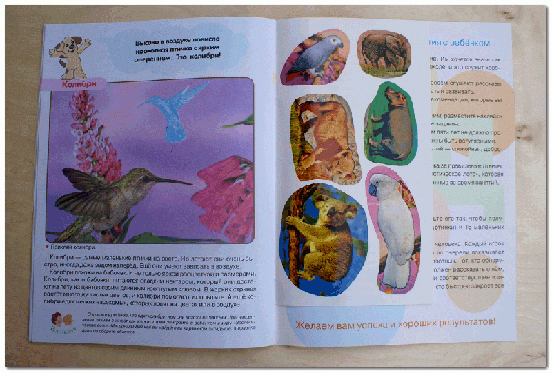 Иллюстрация 21 из 21 для Животные жарких стран. Первые уроки 5+ - Л. Шайтанова | Лабиринт - книги. Источник: РИВА