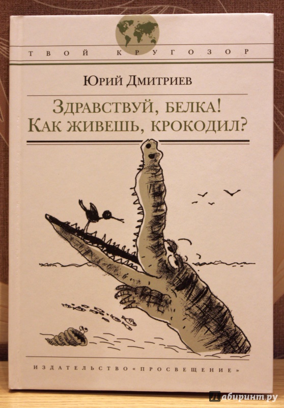 Иллюстрация 8 из 37 для Здравствуй, белка! Как живешь,  крокодил? - Юрий Дмитриев | Лабиринт - книги. Источник: E.B.