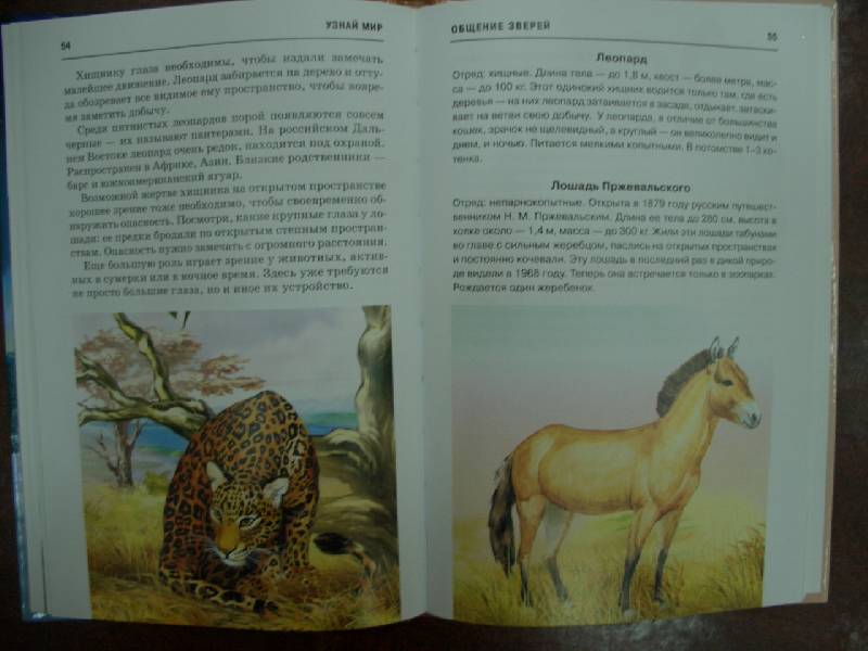 Иллюстрация 6 из 32 для Млекопитающие. Школьный путеводитель - Марк Махлин | Лабиринт - книги. Источник: кареглазка