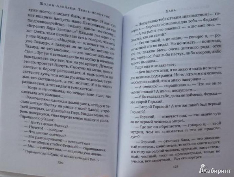 Иллюстрация 8 из 55 для Тевье-молочник - Шолом-Алейхем | Лабиринт - книги. Источник: Большой любитель книг