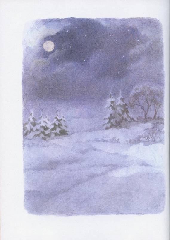 Иллюстрация 37 из 48 для Зимняя сказка - Ханс Андерсен | Лабиринт - книги. Источник: Igra