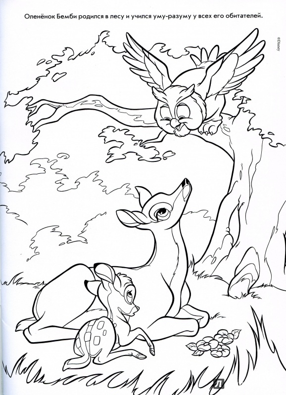 Иллюстрация 2 из 20 для Волшебная раскраска. Бемби (№14022) | Лабиринт - книги. Источник: lumila