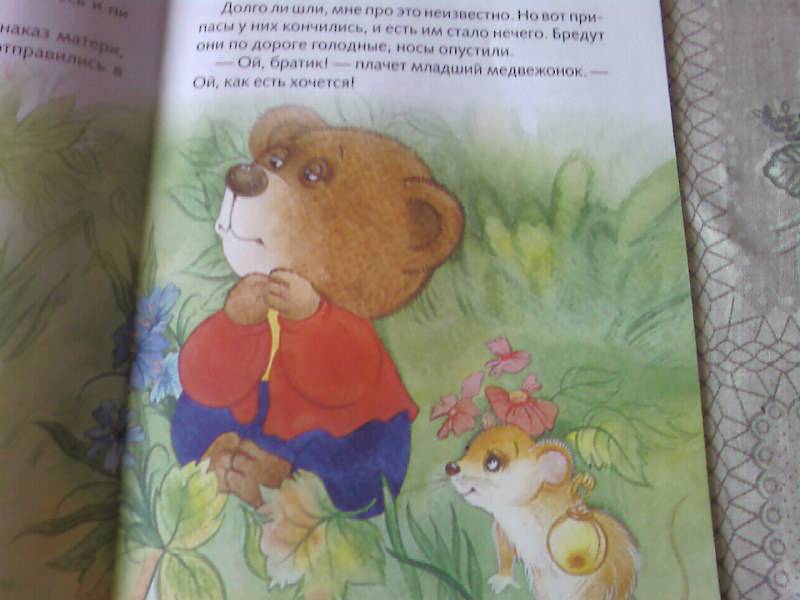Иллюстрация 14 из 15 для Два жадных медвежонка | Лабиринт - книги. Источник: Розанова  Елена