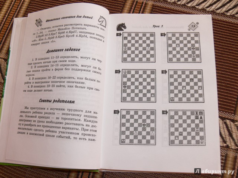 Иллюстрация 20 из 28 для Шахматные окончания для детей - Наталья Петрушина | Лабиринт - книги. Источник: Irbis