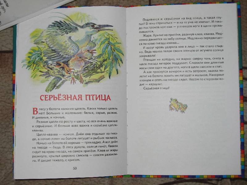 Иллюстрация 46 из 46 для Лесные сказки - Николай Сладков | Лабиринт - книги. Источник: Рыженький
