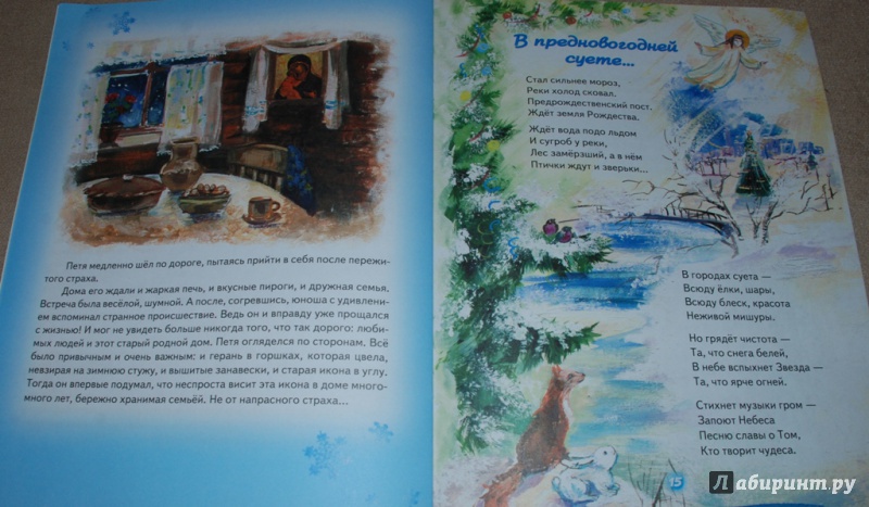 Иллюстрация 11 из 12 для Мир в дом - Елена Михаленко | Лабиринт - книги. Источник: Книжный кот