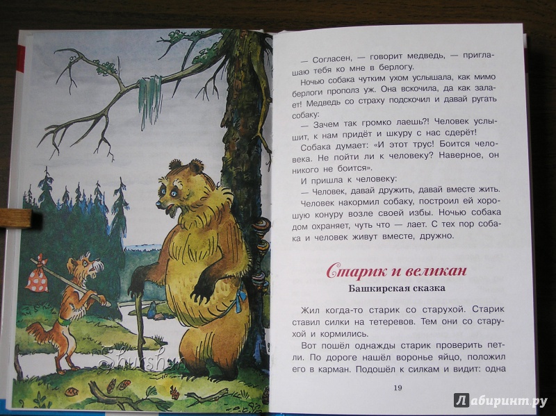 Иллюстрация 9 из 41 для Сказки народов России | Лабиринт - книги. Источник: Shurshun