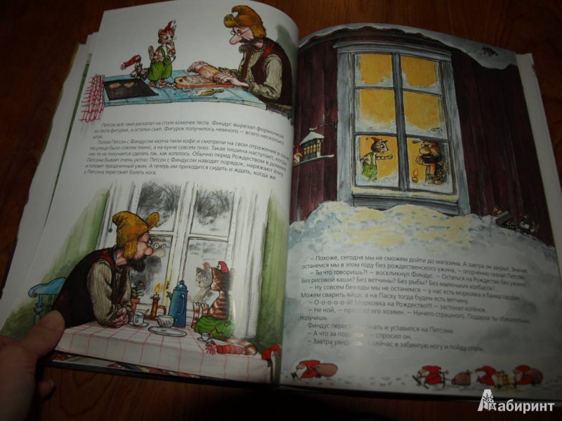 Иллюстрация 22 из 150 для Рождество в домике Петсона - Свен Нурдквист | Лабиринт - книги. Источник: Гусева  Анна Сергеевна