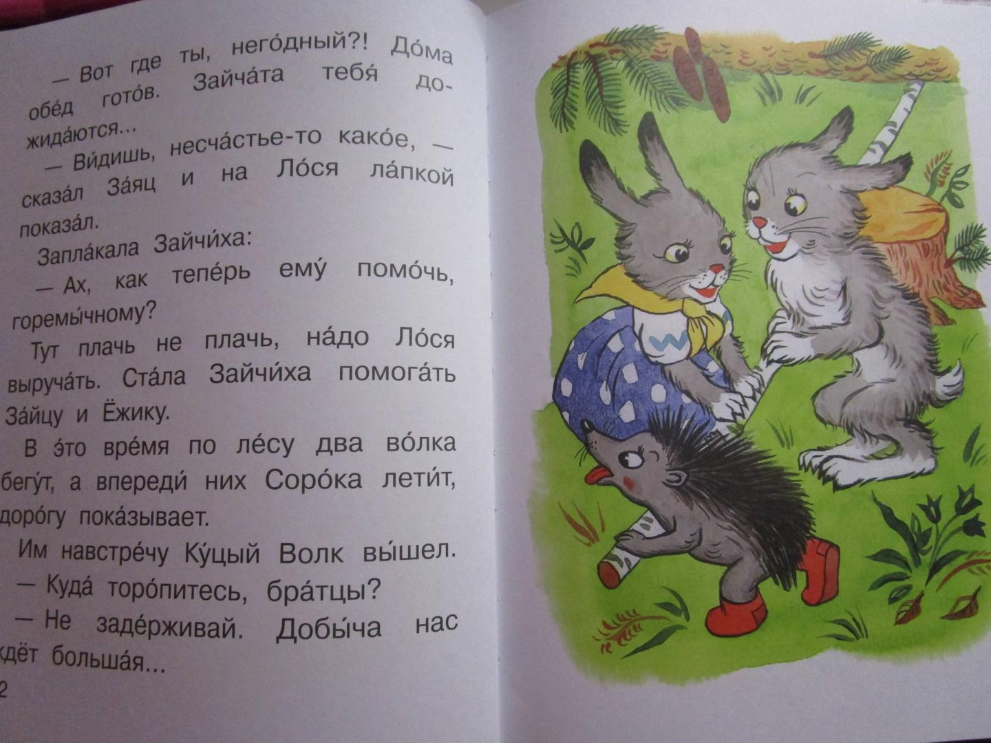 Иллюстрация 32 из 39 для Сказочные истории - Владимир Сутеев | Лабиринт - книги. Источник: читатель