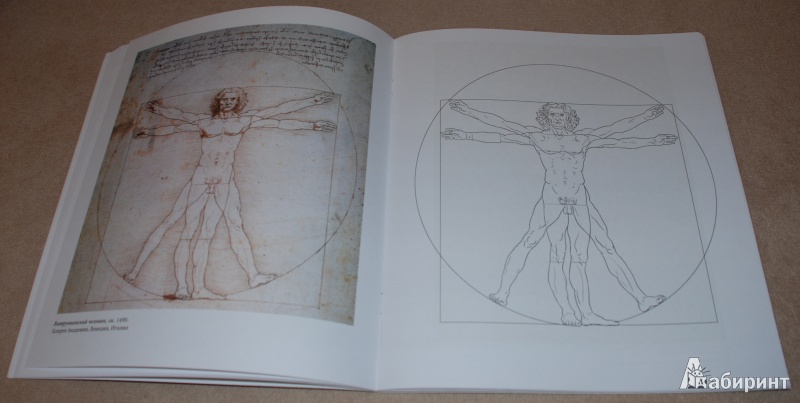 Иллюстрация 11 из 32 для Леонардо да Винчи | Лабиринт - книги. Источник: Книжный кот