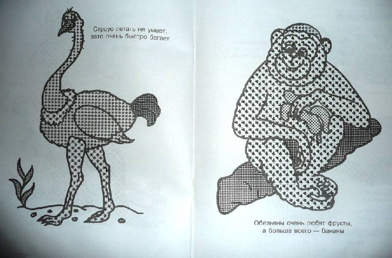 Иллюстрация 9 из 9 для Слонёнок | Лабиринт - книги. Источник: Ятакая