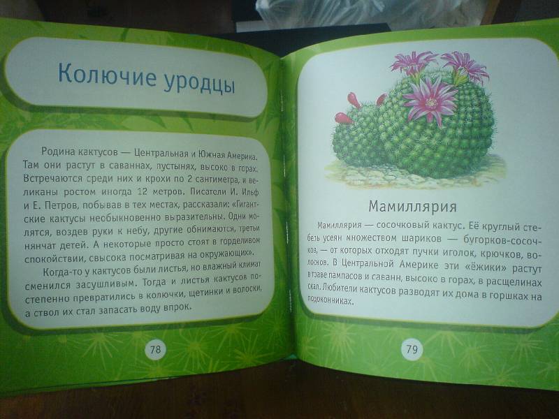 Иллюстрация 3 из 13 для Удивительные растения: Моя первая книга о природе - Инна Шустова | Лабиринт - книги. Источник: Киви
