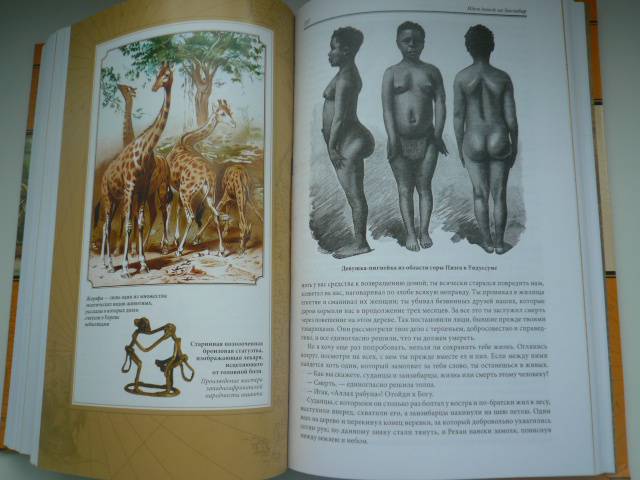 Иллюстрация 12 из 59 для В дебрях Африки - Генри Стенли | Лабиринт - книги. Источник: Nadezhda_S